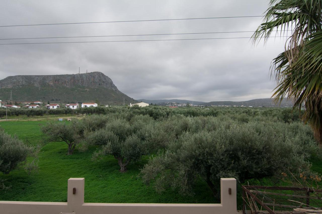 Casa Di Prios Brand New Renovated Villa In Gouves Exterior foto